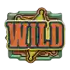 Wild symbol